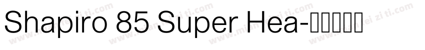 Shapiro 85 Super Hea字体转换